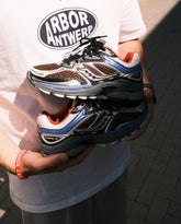 Saucony Progrid Omni 9: Torte/Dazzle en Eggshell/Touch bij Noble Store