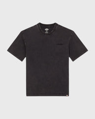 Dickies Plentywood T-Shirt | Noble