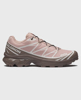 Salomon XT-6 Protective Shadow Gray / Iron / Lilac Ash