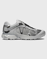 Salomon XT-Whisper GTX Gray Violet / Black / Ftw Silver
