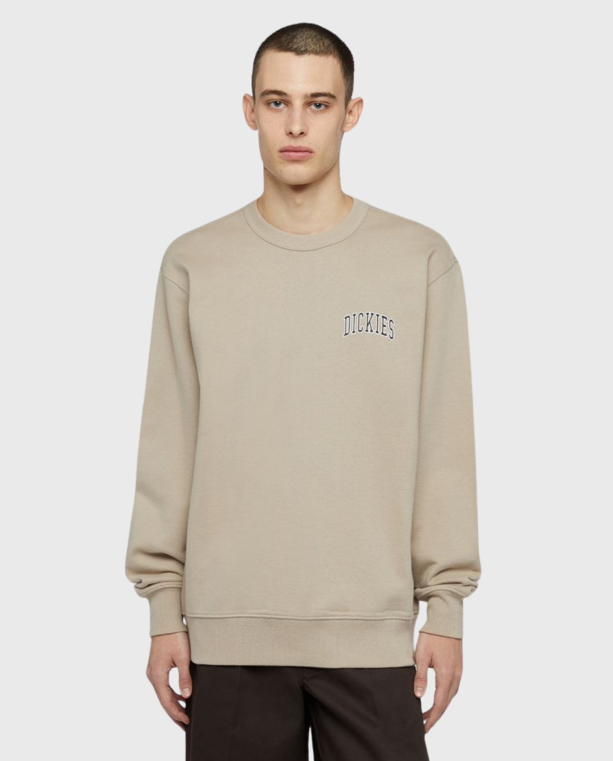 Dickies Aitkin Chest Sweatshirt | Noble