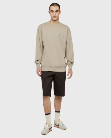 Dickies Aitkin Chest Sweatshirt | Noble