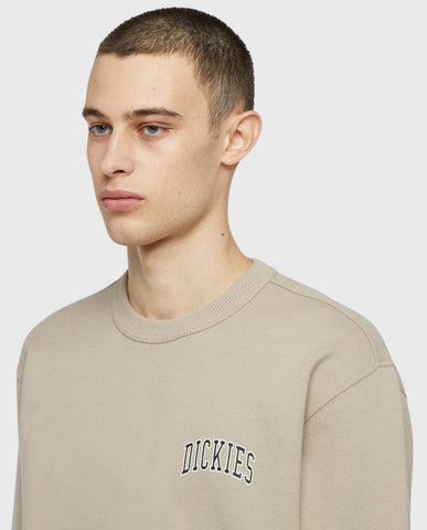 Dickies Aitkin Chest Sweatshirt | Noble