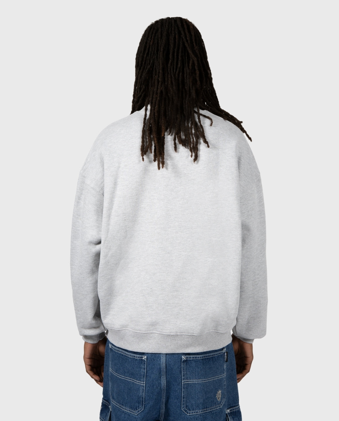 Wasted Paris Crew neck negative - ash grey | Noble