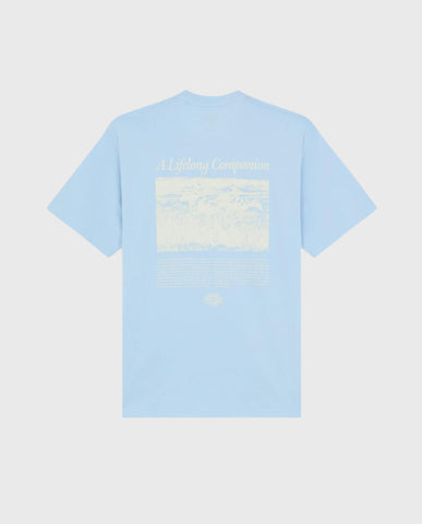 Companion Script T-Shirt Skyway