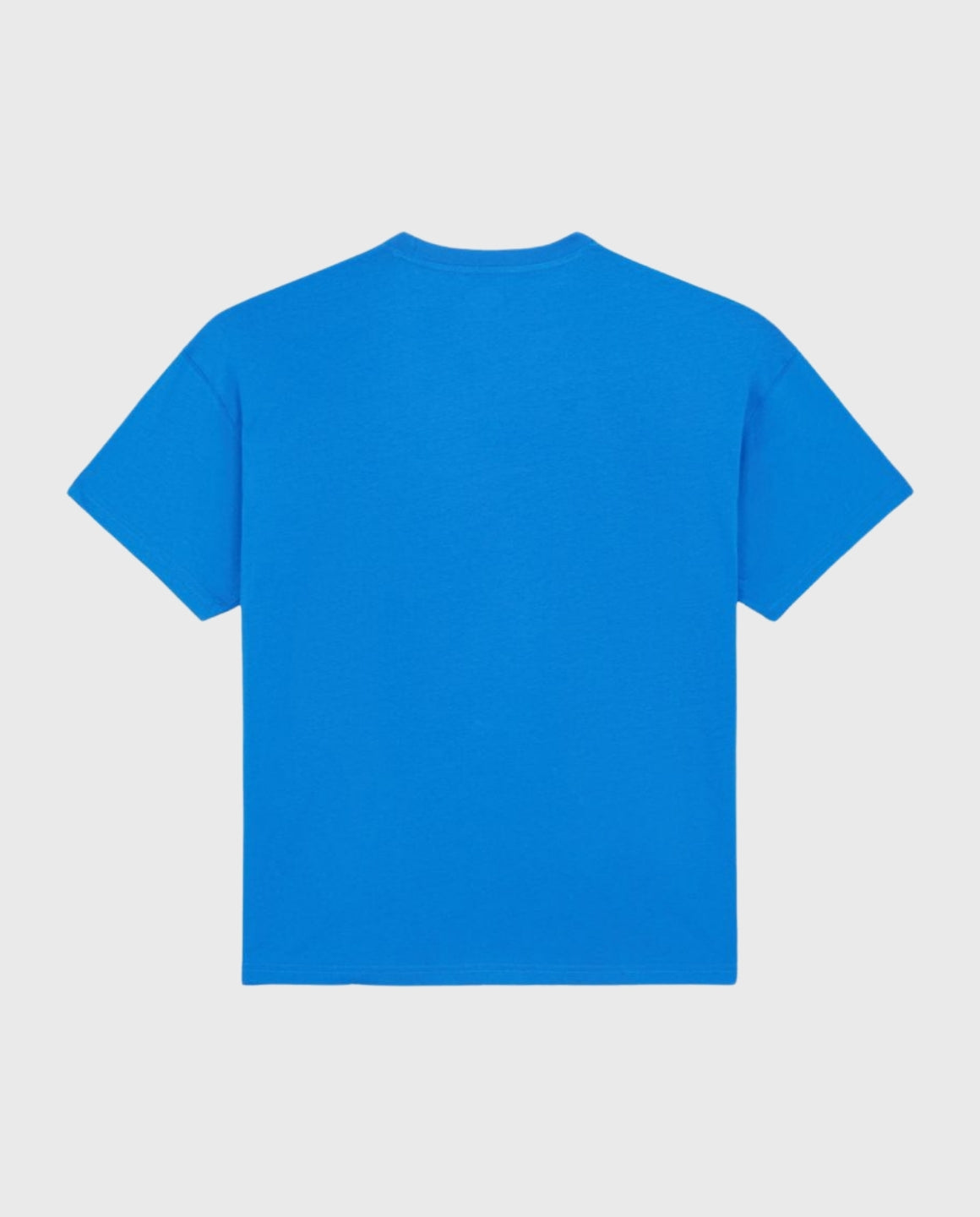 Dickies Enterprise T-Shirt Blauw | Noble