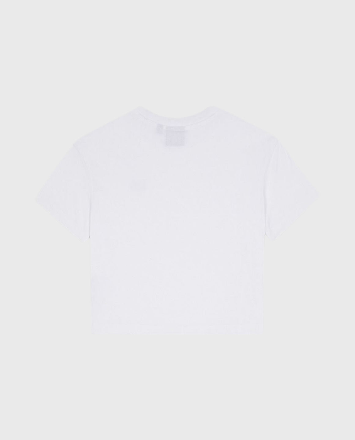 Dickies Oakport Boxy T-Shirt Wit | Noble