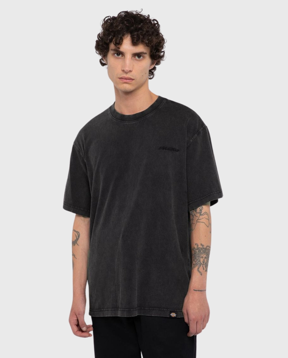 Dickies Plentywood T-Shirt | Noble