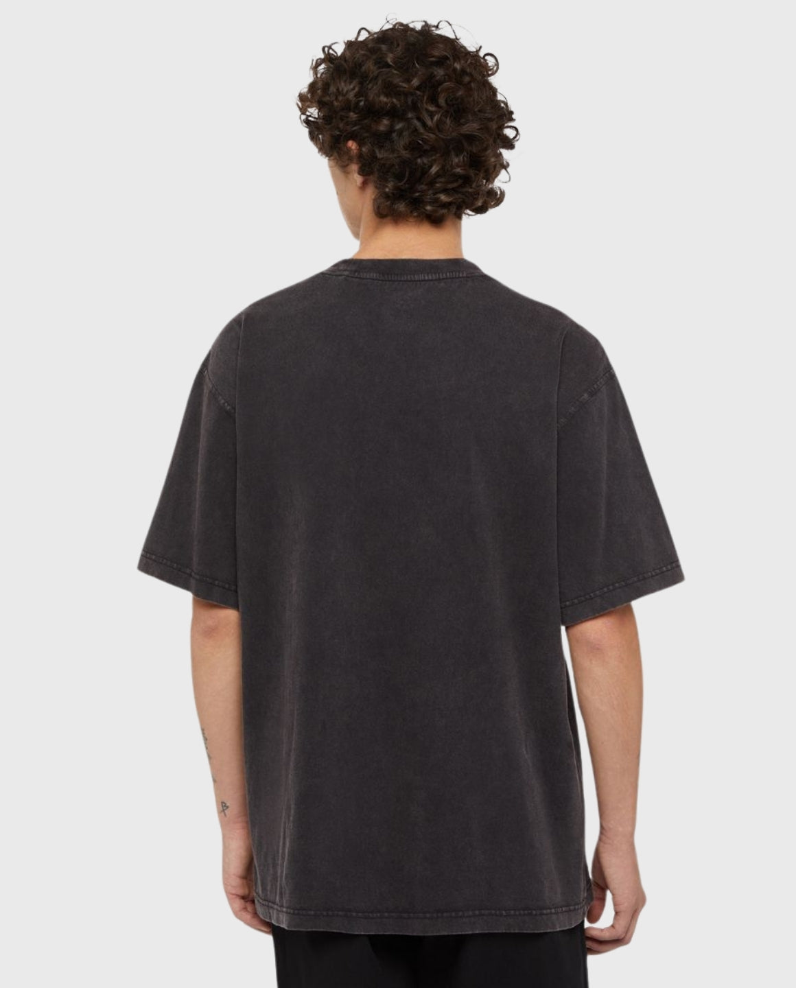 Dickies Plentywood T-Shirt | Noble