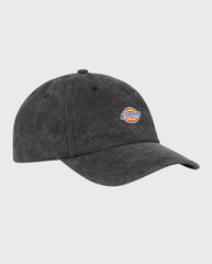 Dickies pet
