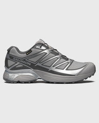 Salomon XT-Pathway Gore-Tex Alloy / Ftw Silver / Castlerock