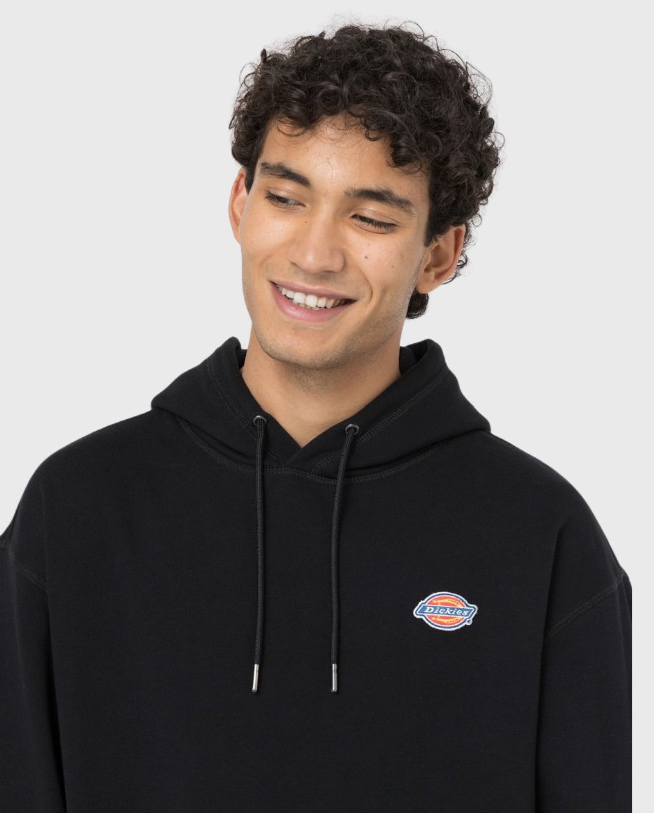 Dickies Millersburg Hoodie Black | Noble