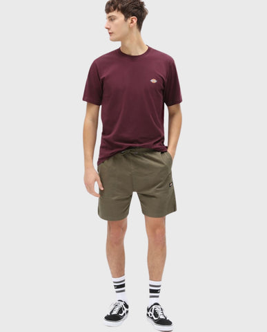 Dickies Ss Mapleton Tee Maroon | Noble