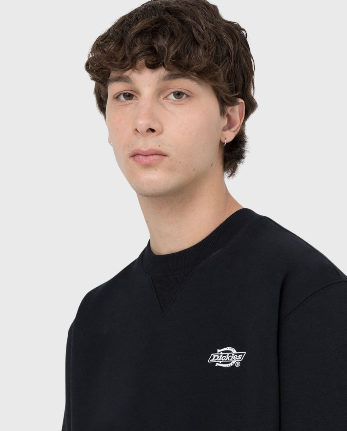 Dickies Summerdale Sweater Zwart | Noble