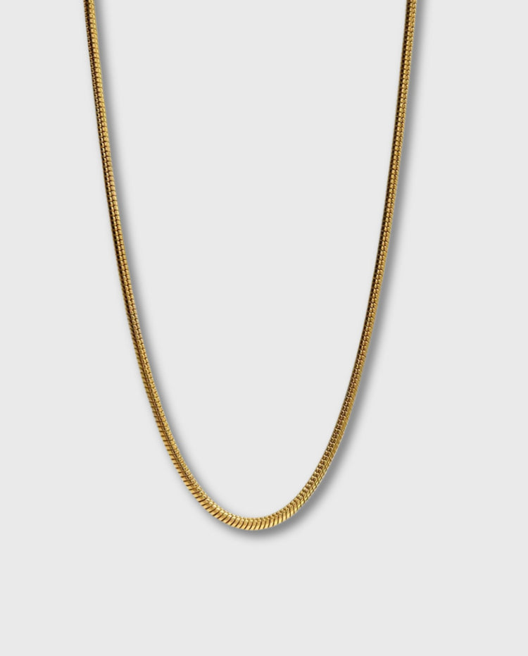 Gouden lange ketting met slanke, gerolde schakels